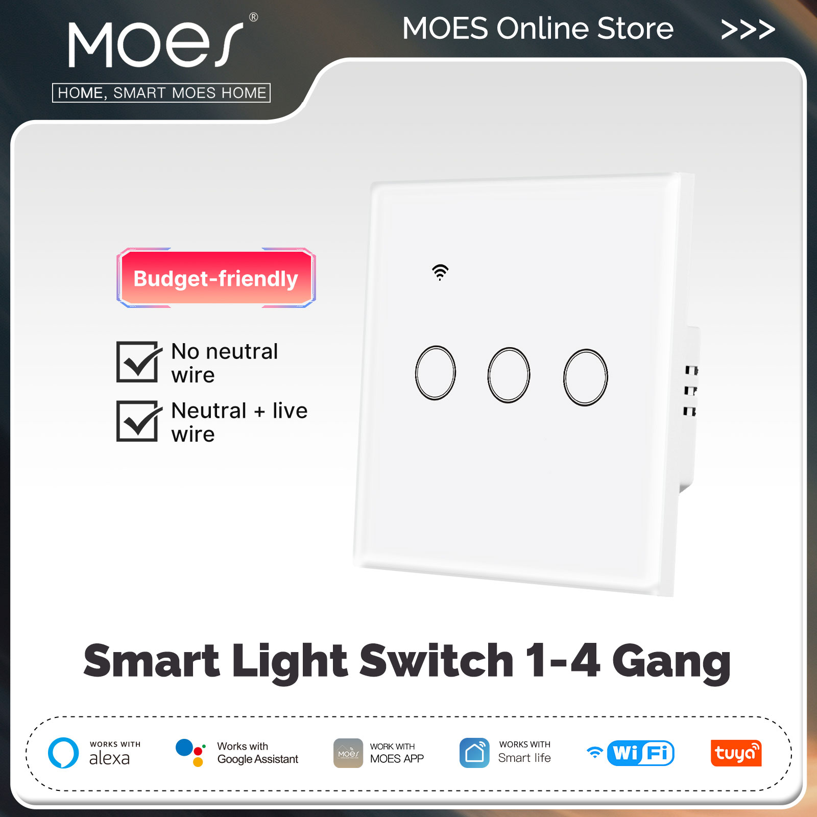 Smart Home System - Tuya WiFi Smart Light Switch Glass