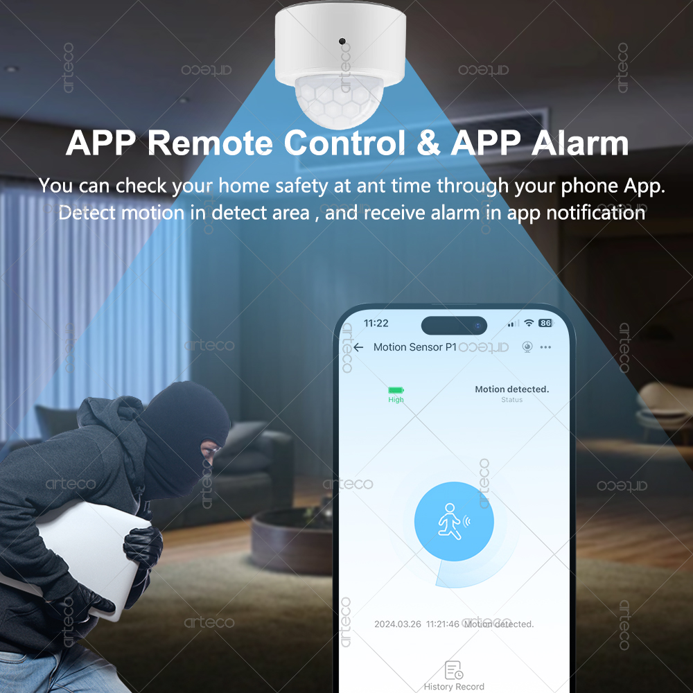 Ewelink Zigbee PIR Motion Sens - Smart Home Ir のレビューと価格