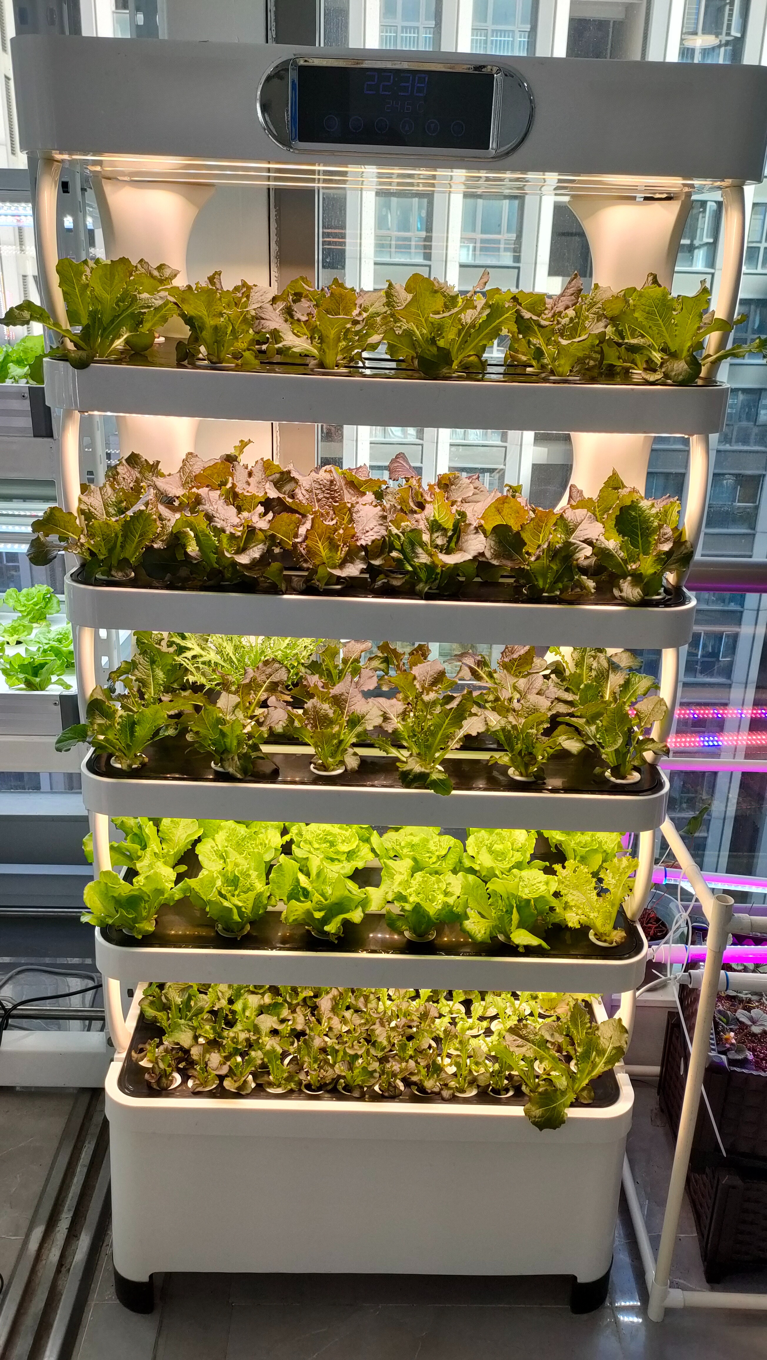 Intelligent Hydroponic Growing - Smart Home System のレビューと価格
