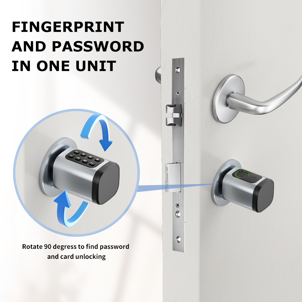 RAYKUBE V1 Tuya BLE TT Lock Sm - Smart Home Technology のレビューと価格
