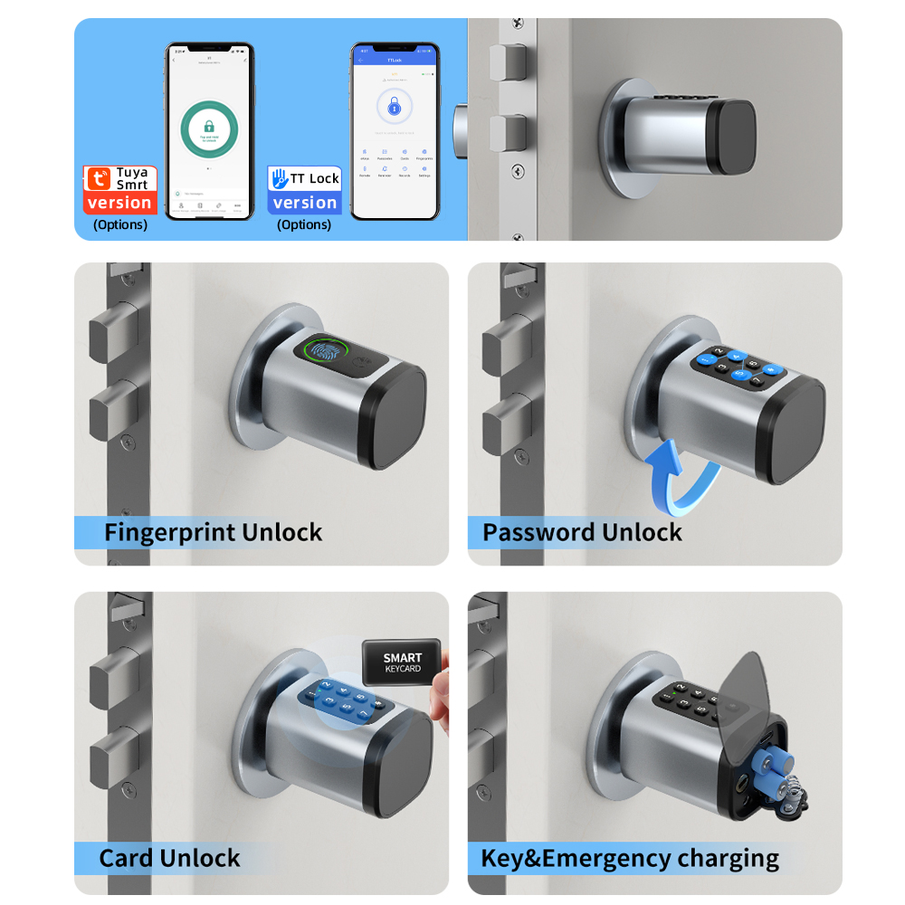 RAYKUBE V1 Tuya BLE TT Lock Sm - Smart Home Technology のレビューと価格