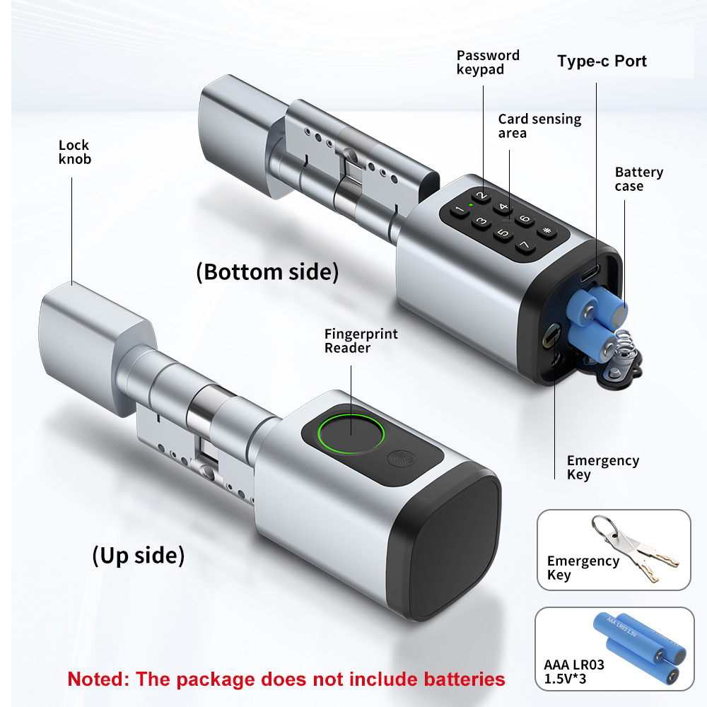 RAYKUBE V1 Tuya BLE TT Lock Sm - Smart Home Technology のレビューと価格