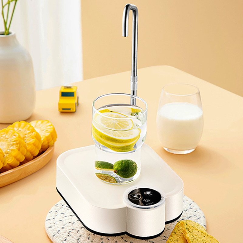 Smart Electric Water Pump Rech - Home Smart Kettle のレビューと価格