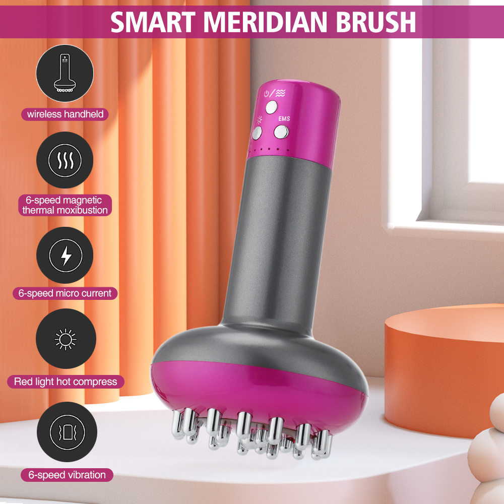 Intelligent Electric Massager  - Smart Home Technology のレビューと価格