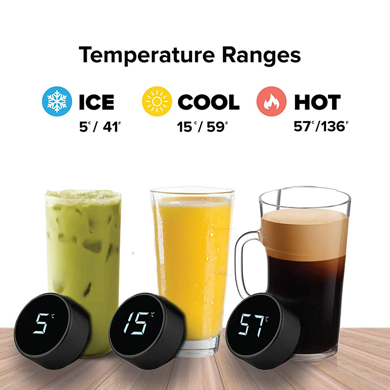 Stainless Steel Smart Water Bo - Home Smart Kettle のレビューと価格