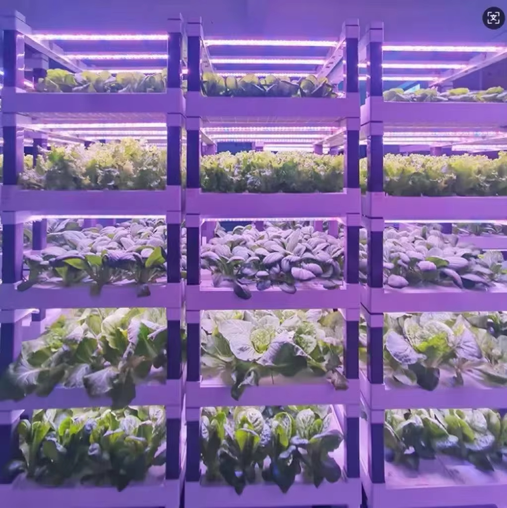 Hydroponic Grow System Greenho - Smart Home System のレビューと価格